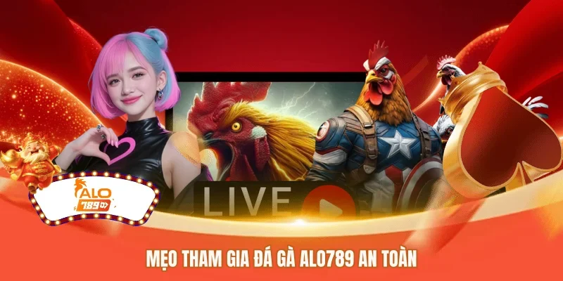 Mẹo tham gia đá gà ALO789 an toàn 