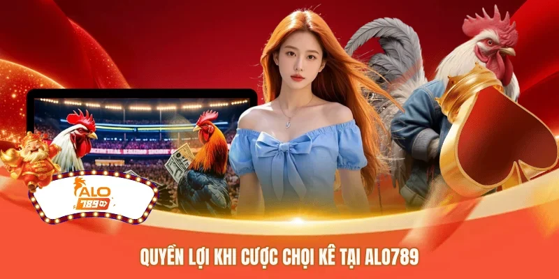 Quyền lợi khi cược chọi kê tại ALO789 
