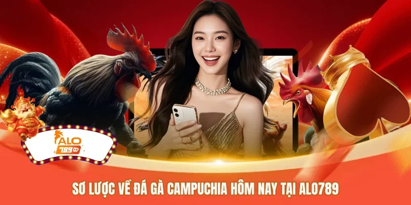 Sơ lược về đá gà Campuchia hôm nay tại ALO789