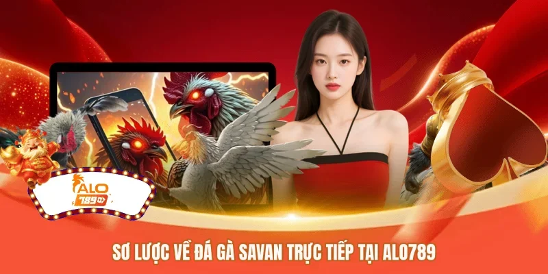 Sơ lược về đá gà savan trực tiếp tại ALO789 