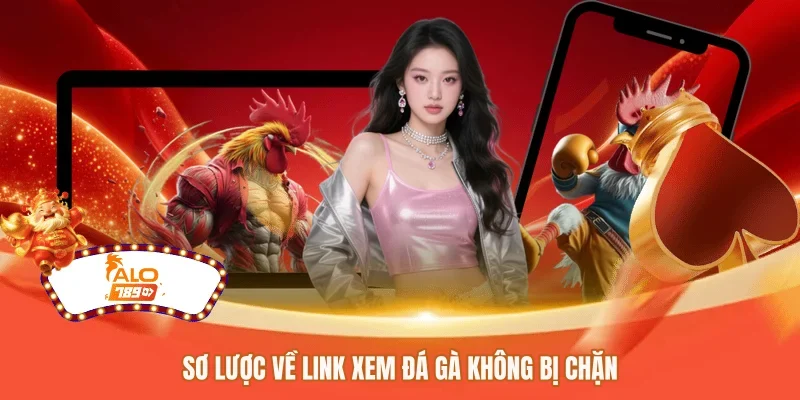 Sơ lược về link xem đá gà không bị chặn 